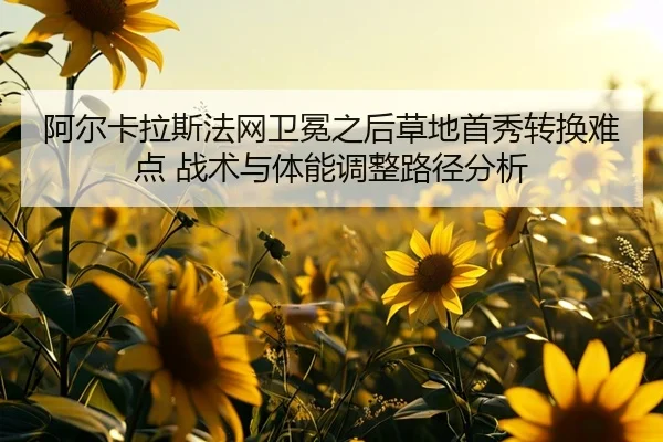 a-er-ka-la-si-fa-wang-wei-mian-zhi-hou-cao-di-shou-xiu-zhuan-huan-nan-dian-zhan-shu-yu-ti-neng-tiao-zheng-lu-jing-fen-xi-2-320.jpg