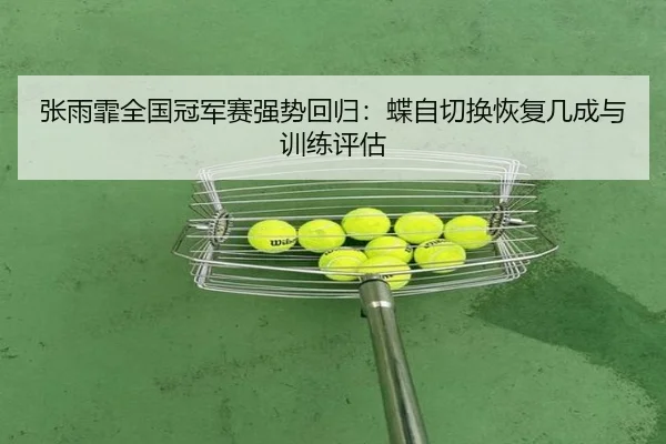 张雨霏全国冠军赛强势回归：蝶自切换恢复几成与训练评估
