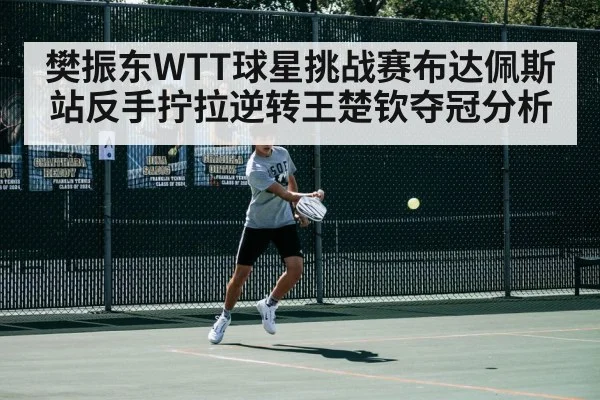 樊振东WTT球星挑战赛布达佩斯站反手拧拉逆转王楚钦夺冠分析
