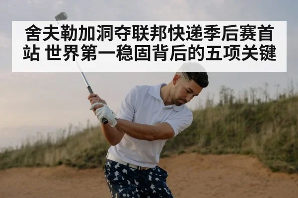 舍夫勒加洞夺联邦快递季后赛首站 世界第一稳固背后的五项关键